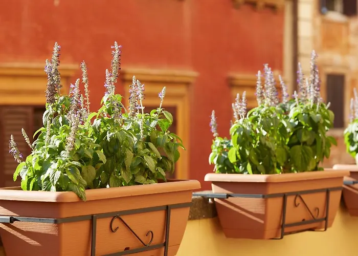 Ripagrande A Trastevere Gasthof 4*
